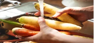 Idea 3: E-Cleaning Device for Vegetable